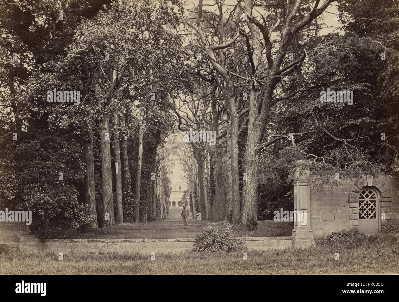 Ragazzo Cliff, avenue, dalla strada; Francis Bedford, inglese, 1815,1816 - 1894, Chester, Inghilterra; circa 1860 - 1870 Foto Stock