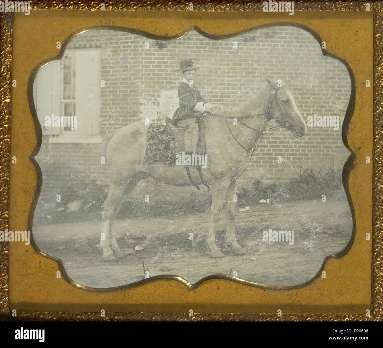 Ragazzo in Hat sul cavallo; American; circa 1849 - 1851; Daguerreotype Foto Stock
