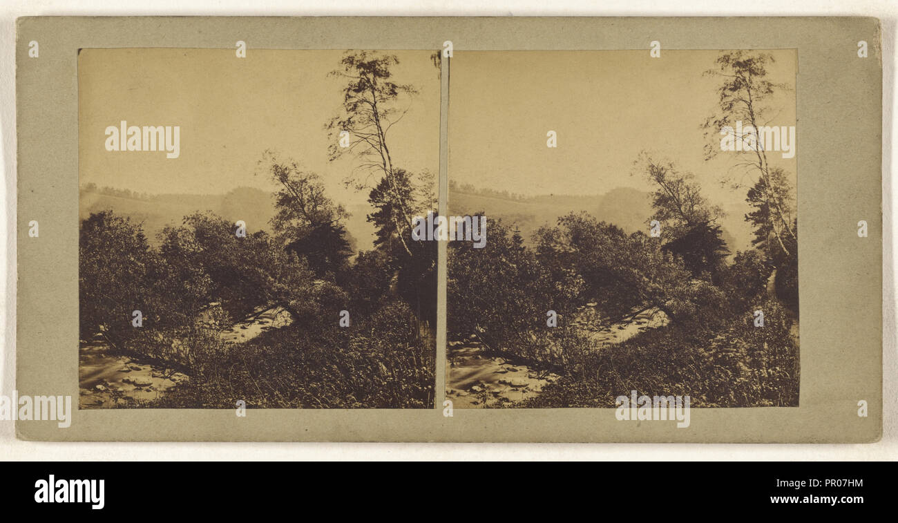 Sulle rive del Devon; British; circa 1860; albume silver stampa Foto Stock