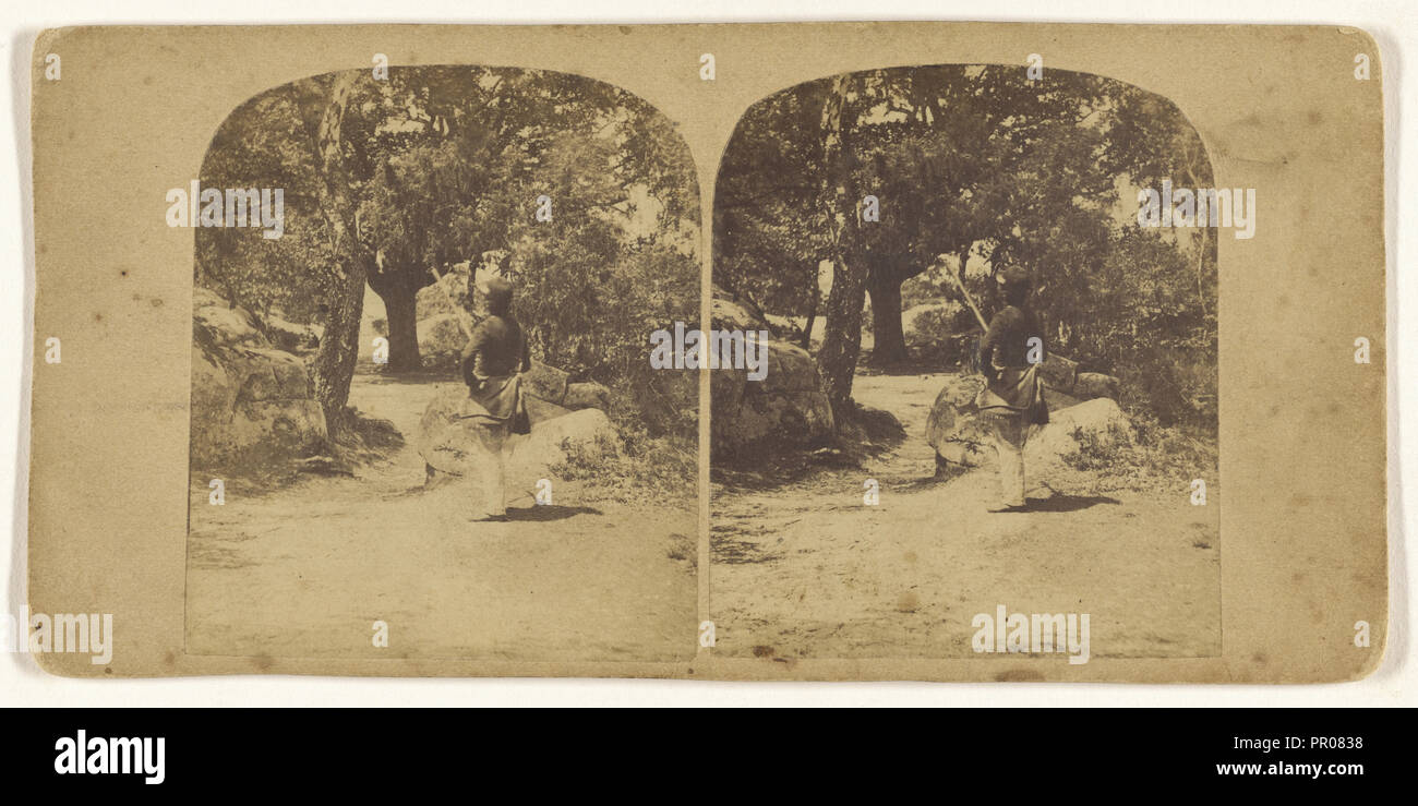Foret de Fontainebleau, Le Chasseur; Francese; circa 1865; albume silver stampa Foto Stock