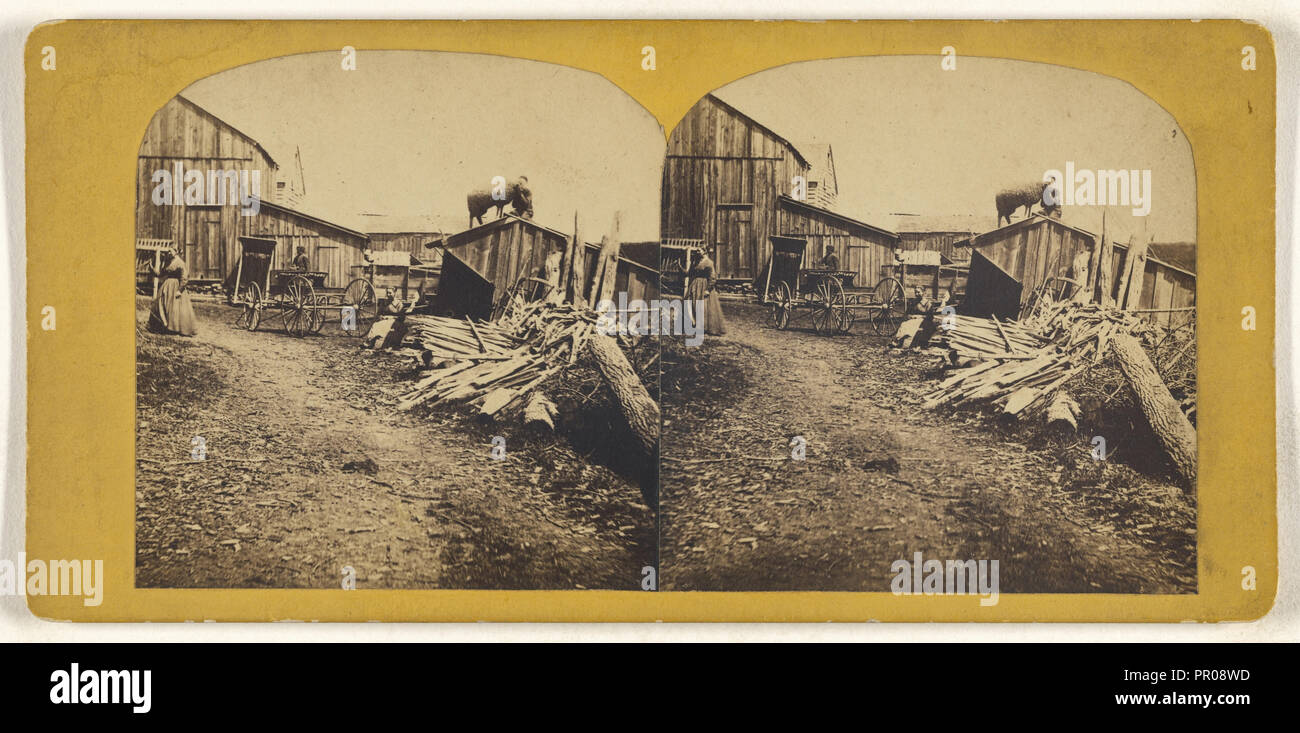 La Hudson Valley; American; circa 1865; albume silver stampa Foto Stock