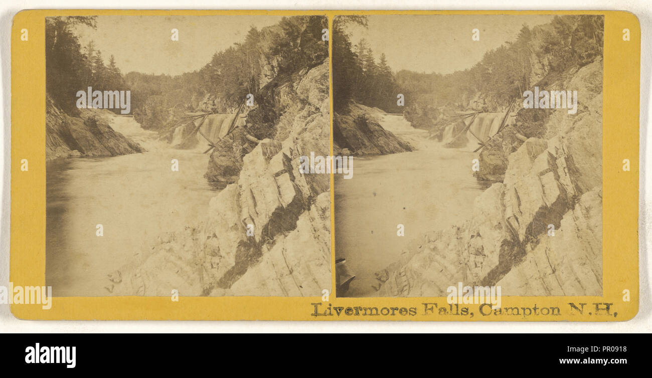 Livermores cade Campton, N.H; American; circa 1870; albume silver stampa Foto Stock