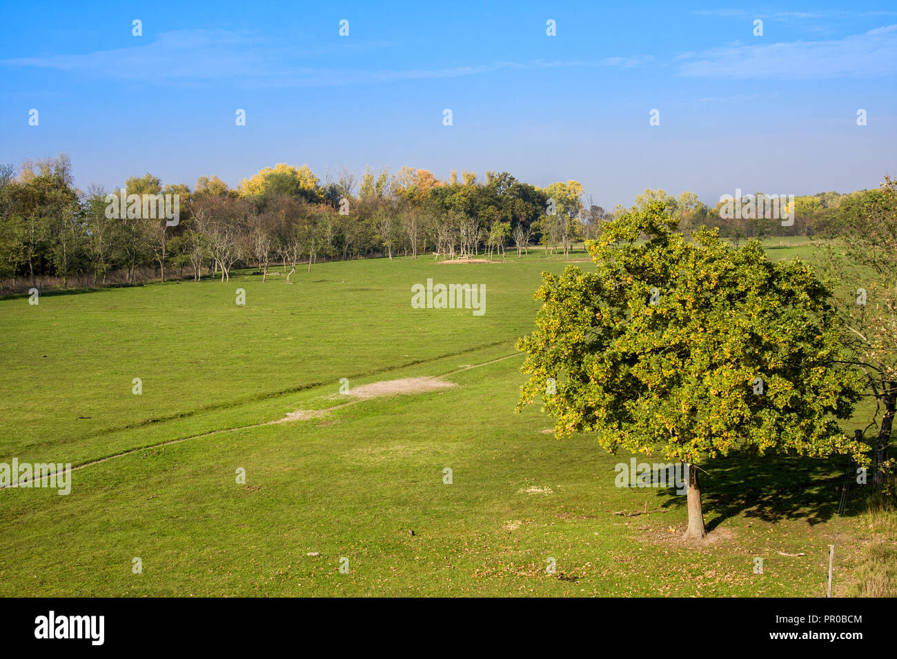 HORTOBAGY, Ungheria - 31 ottobre 2015: Hortobagy National Park, Ungheria. È Patrimonio Mondiale dell'Unesco dal 1999. Tutta la zona è di Natura 2000 pr Foto Stock