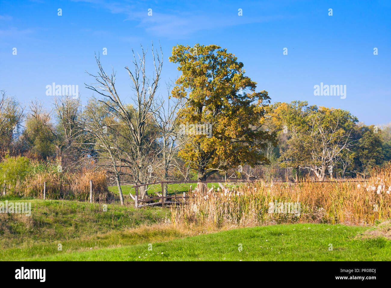 HORTOBAGY, Ungheria - 31 ottobre 2015: Hortobagy National Park, Ungheria. È Patrimonio Mondiale dell'Unesco dal 1999. Tutta la zona è di Natura 2000 pr Foto Stock