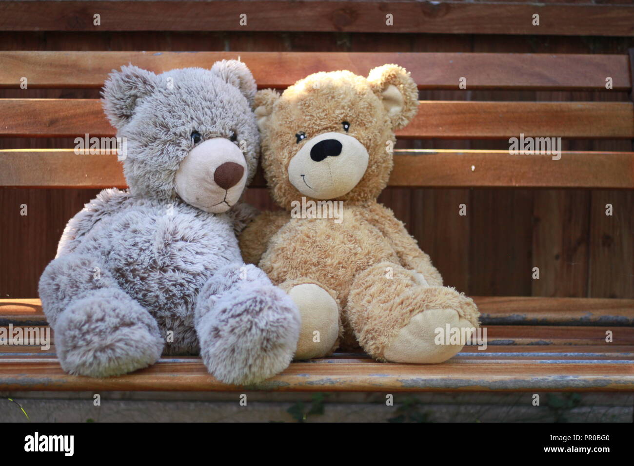 Due orsacchiotti seduta su una panchina in un giardino. Foto Stock