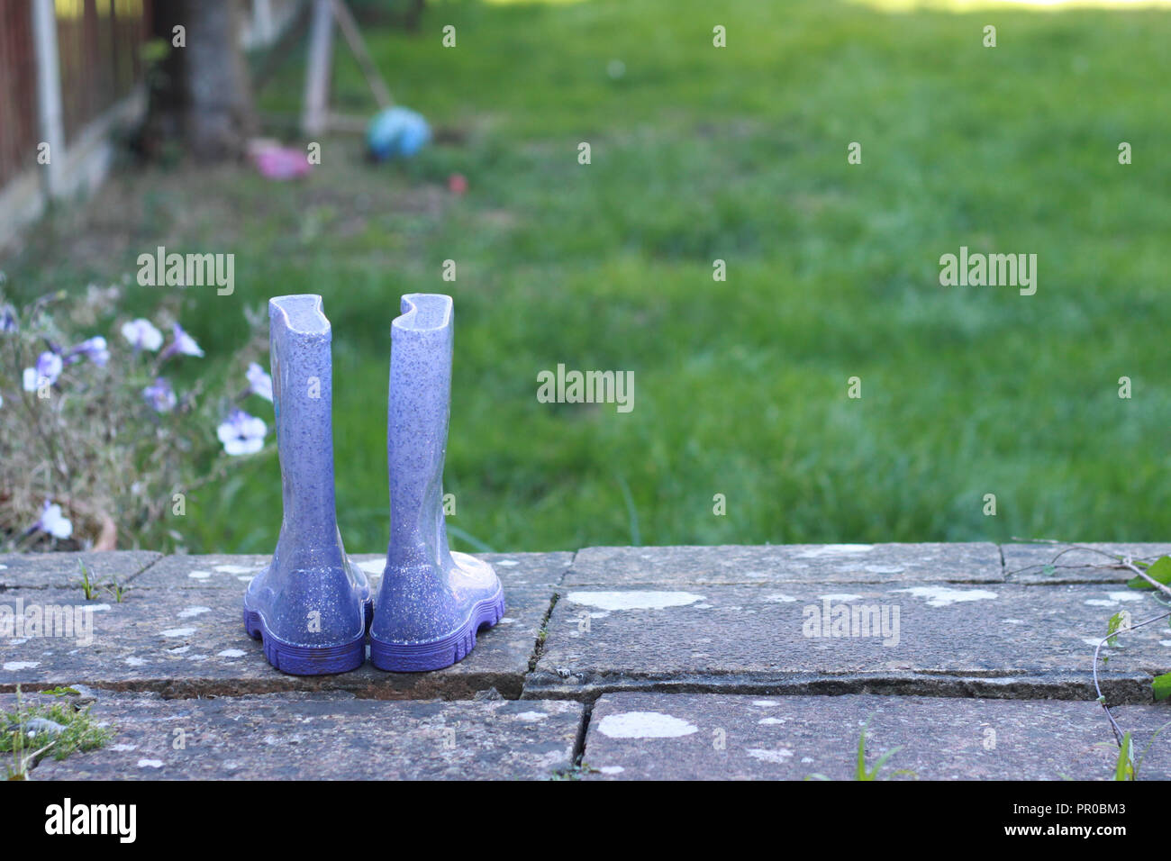 Bambino welly viola stivali su un passo in un giardino. Foto Stock