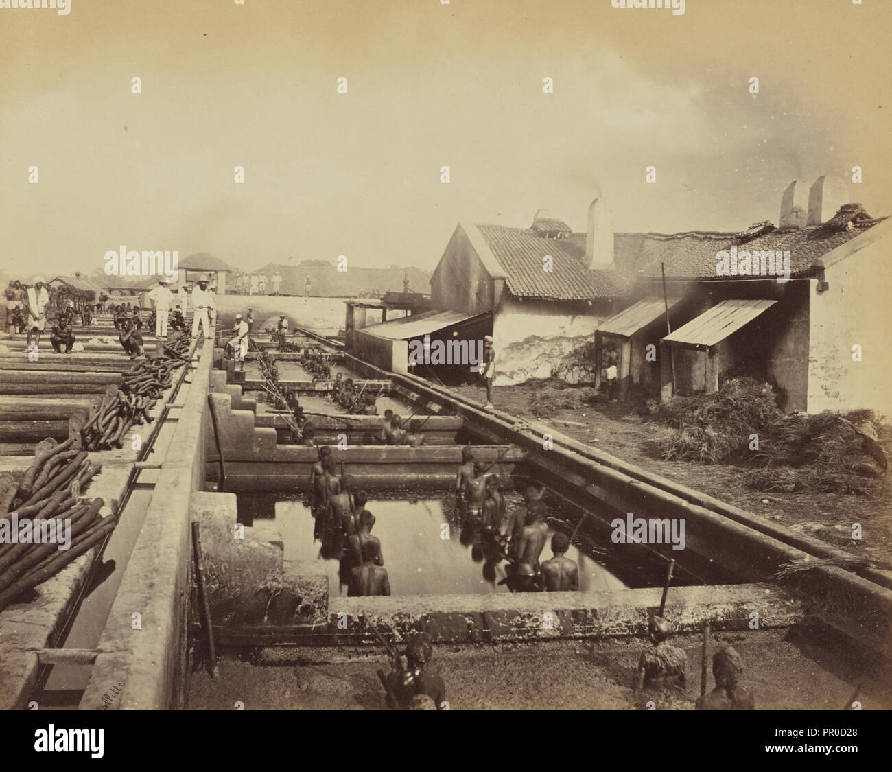 Fabbrica di indaco, battendo i tini, Oscar Mallitte, britannico, circa 1829 - 1905, attivo, Allahabad India 1870, Allahabad, India Foto Stock