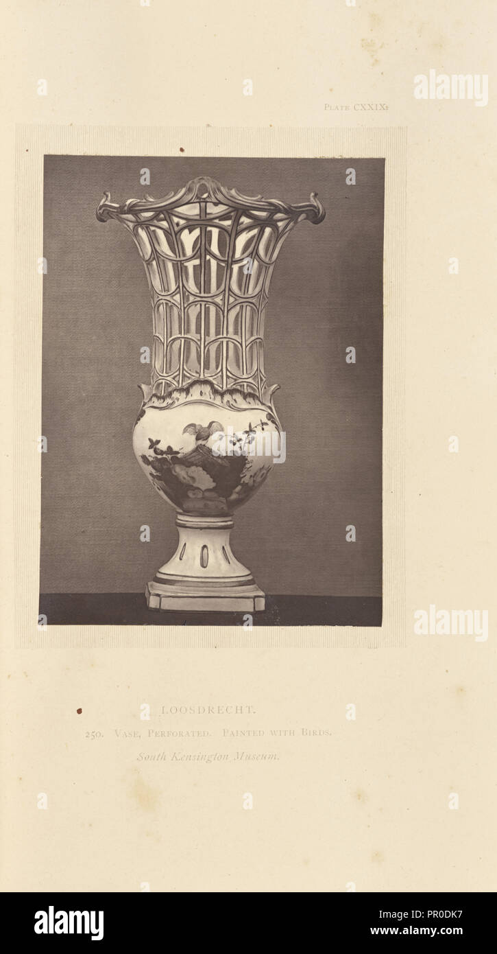 Vaso; William crivelli superiori, inglese, 1811 - 1892, Londra, Inghilterra, Europa; 1871; Woodburytype; 12.2 x 8.9 cm, 4 13,16 x 3 1,2 A Foto Stock