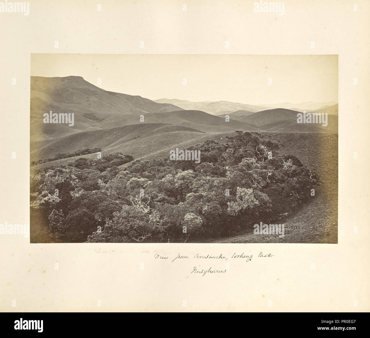 Neilgherries; vista da valanga, guardando ad Est; Samuel Bourne, inglese, 1834 - 1912, Tamil NÄdu, India, Asia; circa 1869 Foto Stock