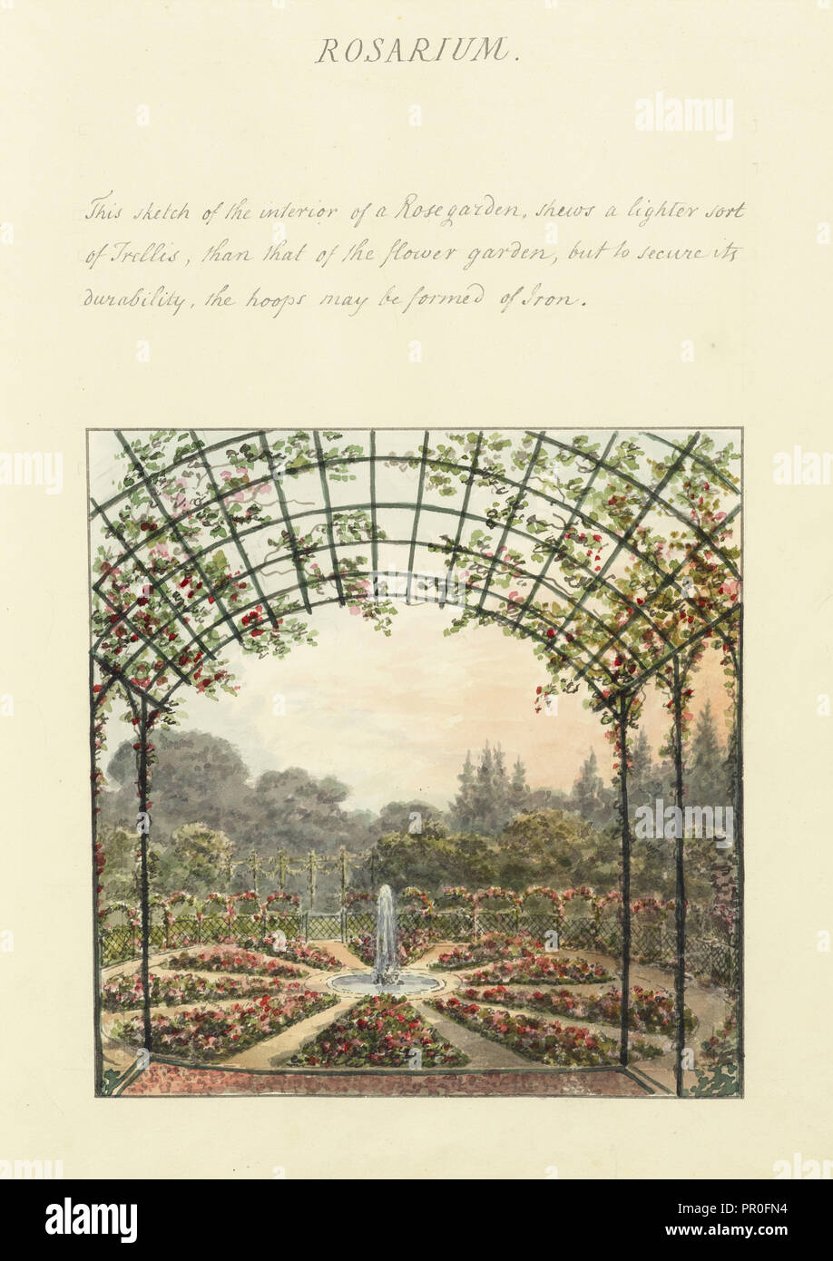 Rosarium, Humphry Repton architettura e paesaggio progetta, 1807-1813, relazione concernente i giardini di Ashridge, rispettosamente Foto Stock