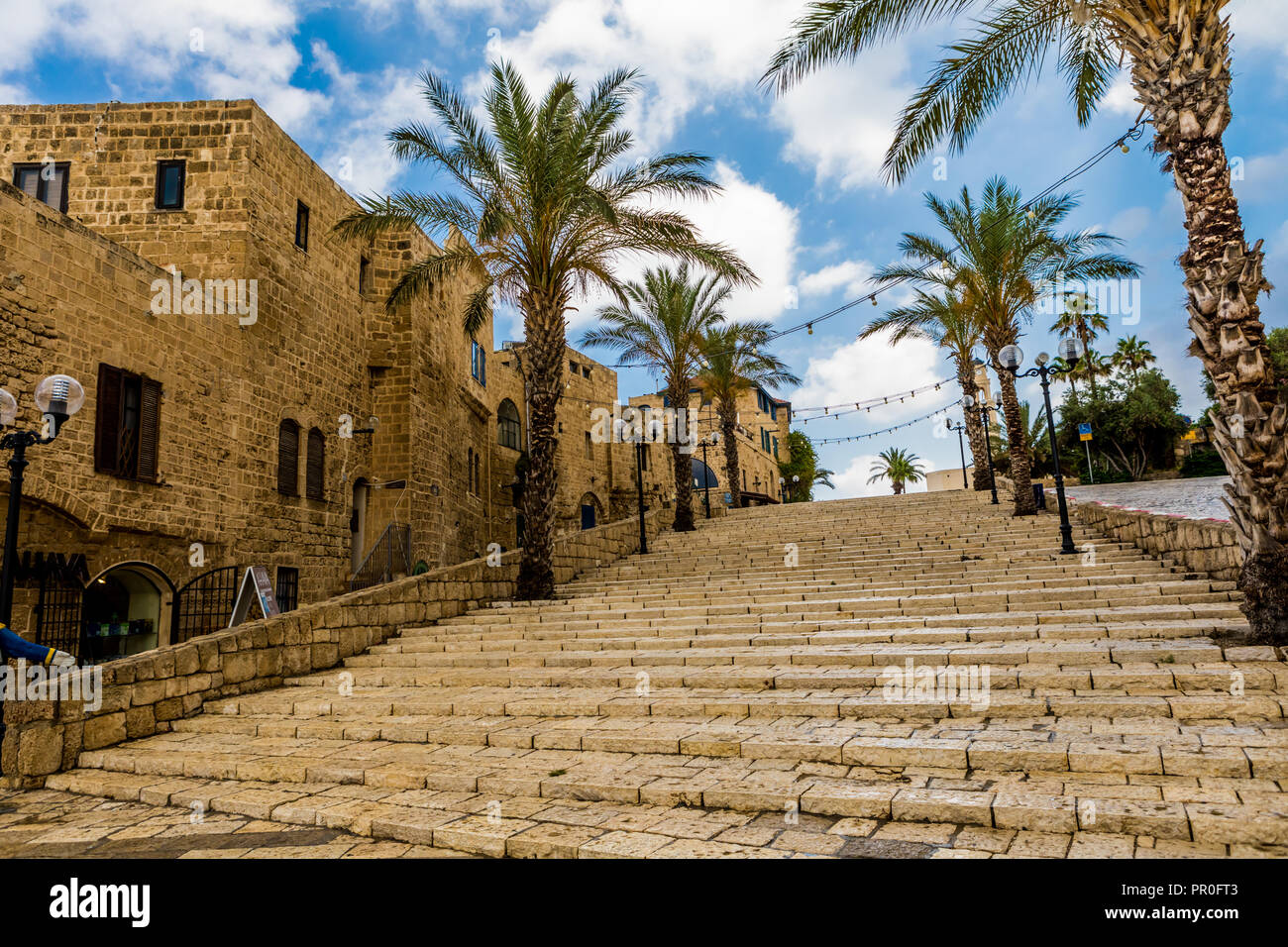 New Scenic 5 posti a Tel Aviv, Israele, Medio Oriente Foto Stock