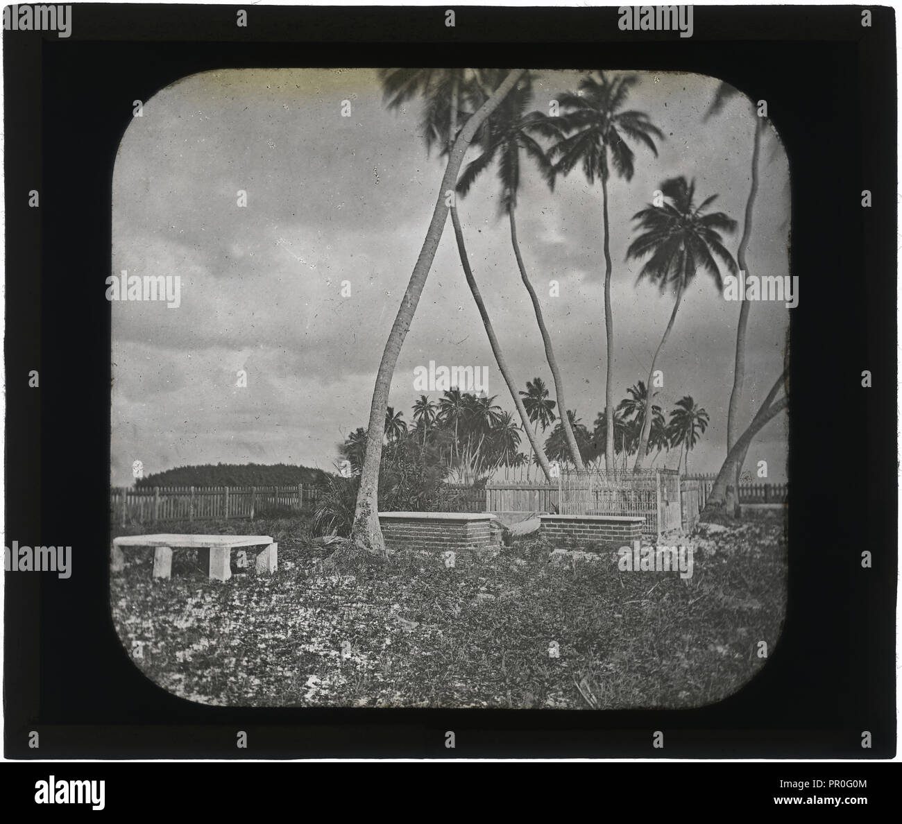 Cimitero coloniale, Belize, St. George's Cay, cimitero coloniale, Belize, Augusto e Alice Dixon Le Plongeon papers, 1763-1937 Foto Stock