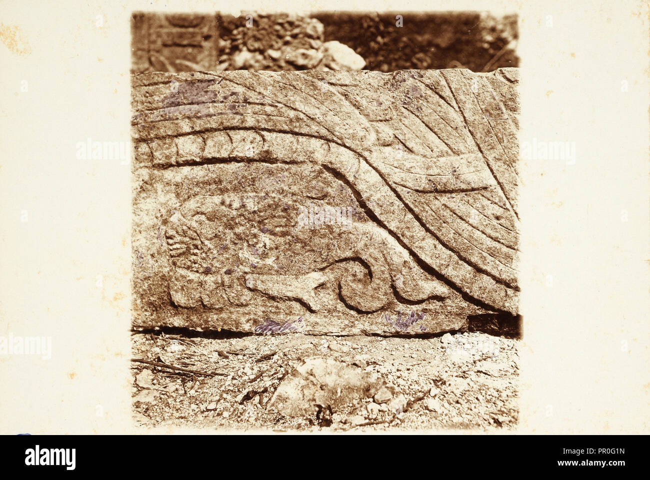 Rilievo di pesce, piattaforma di Venere, Chichén Itzá, vedute di rovine Maya in Yucatan, Le Plongeon, Augusto, 1826-1908, collodio Foto Stock