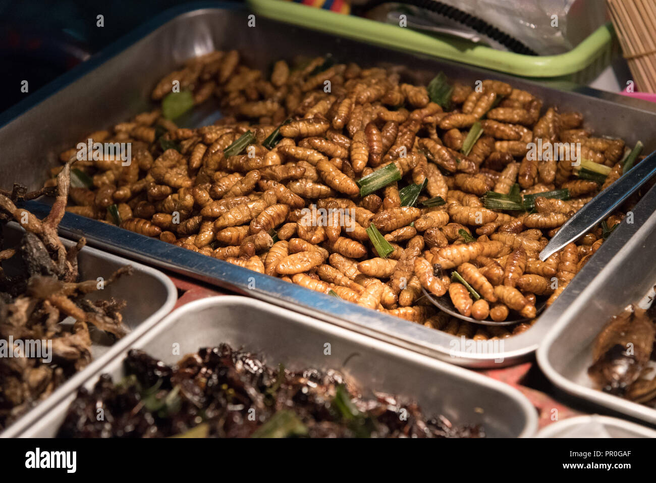 Cucina di strada di vermi e i grilli, Bangkok, Thailandia, Sud-est asiatico, in Asia Foto Stock
