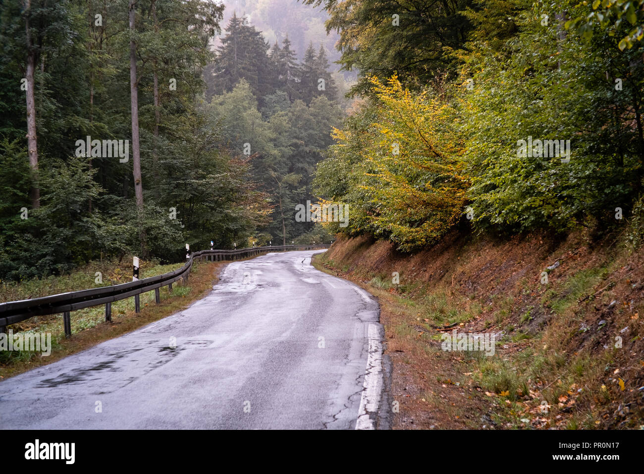 Herbst im Strassenverkehr erhöte Achtung Foto Stock