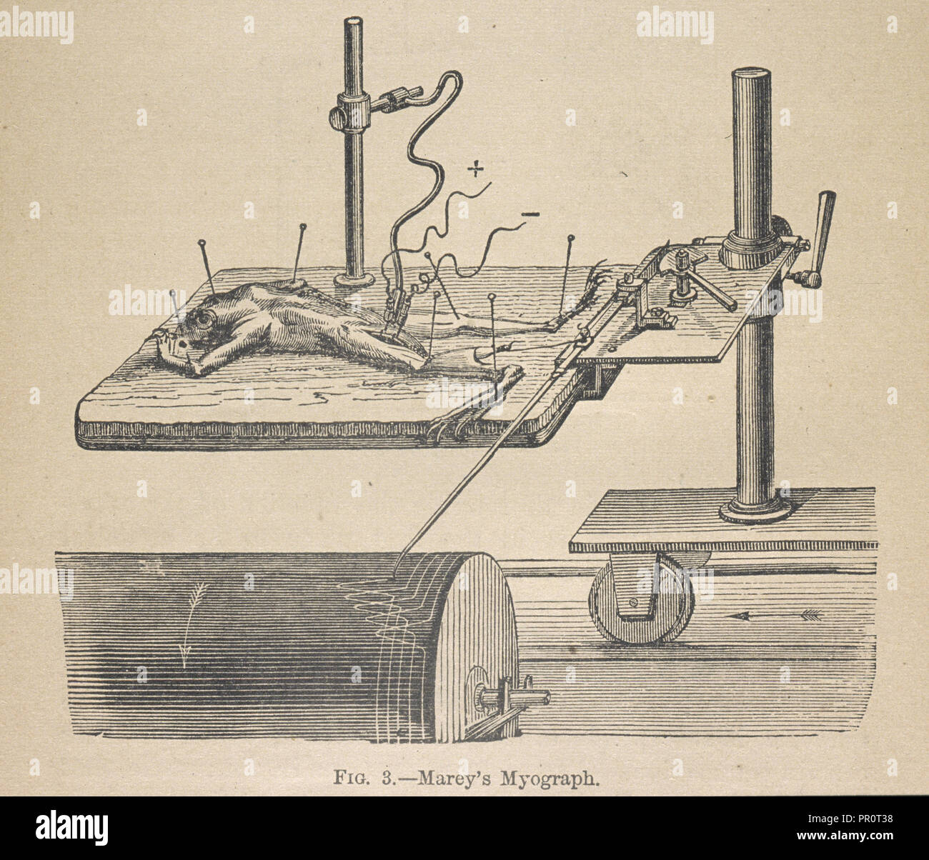 La Marey myograph, meccanismo animale: un trattato sul terrestre e aërial locomozione, Marey, Etienne-Jules, 1830-1904, incisione Foto Stock