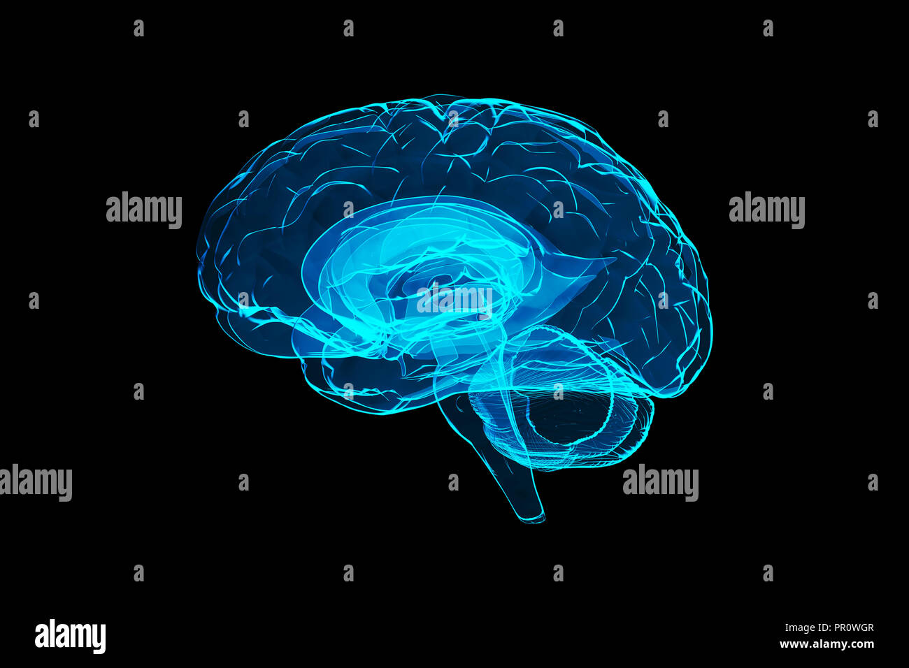 3d cervello umano illustrazione Foto Stock