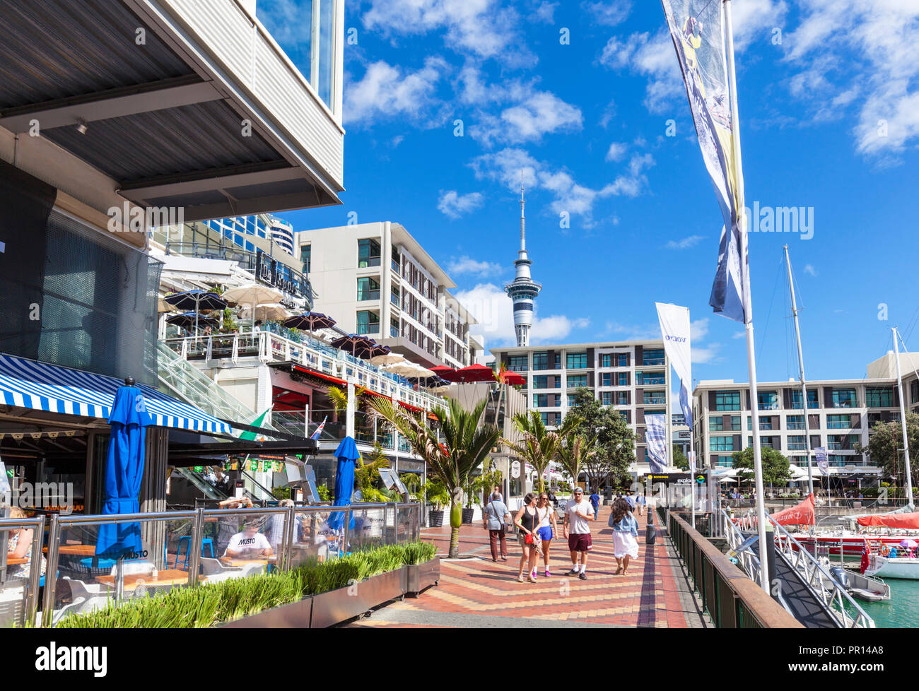 Ristoranti e bar nella zona fronte mare, porto di Viaduct, Auckland, Isola del nord, Nuova Zelanda, Pacific Foto Stock