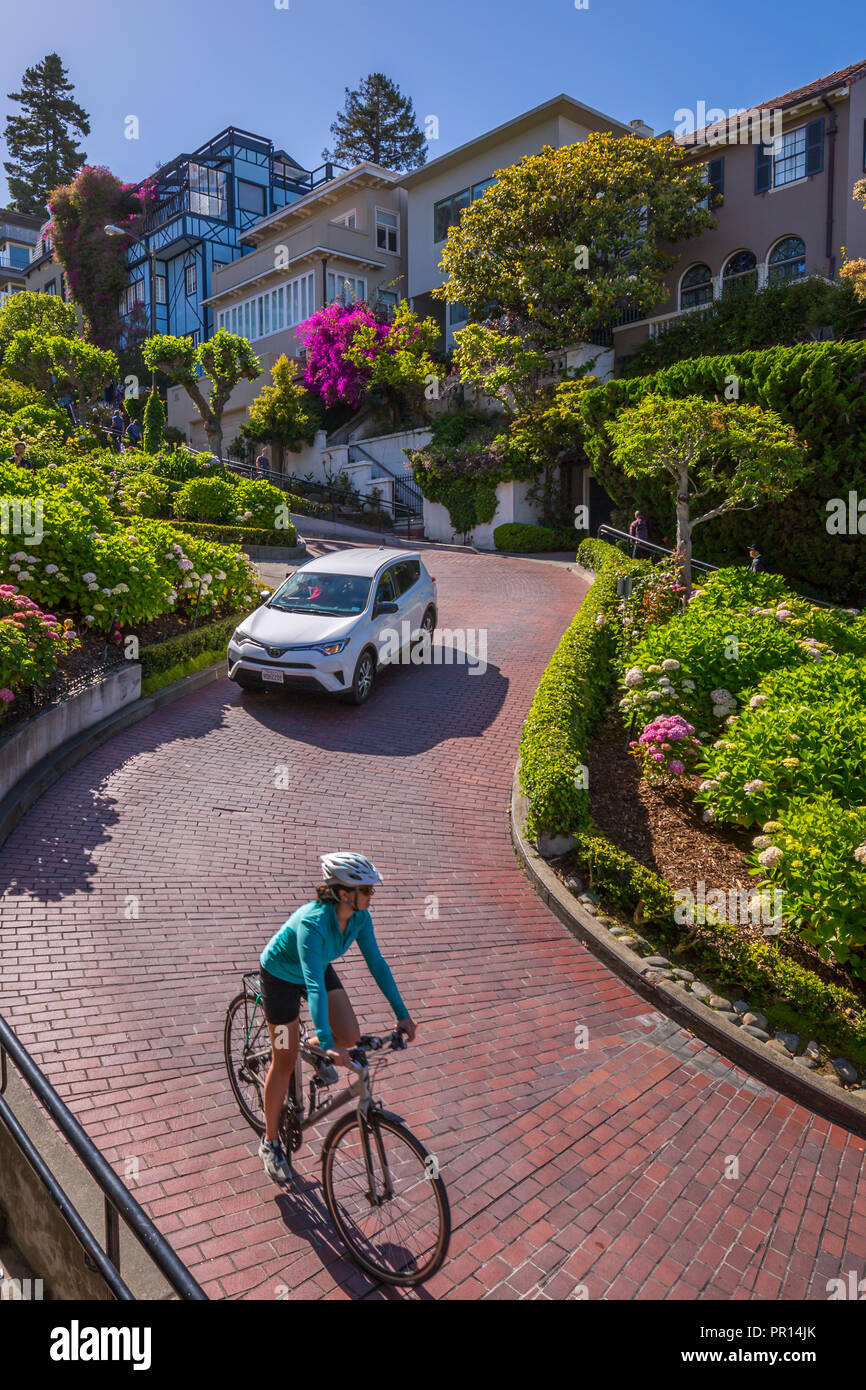 Auto e il ciclista su Lombard Street, San Francisco, California, Stati Uniti d'America, America del Nord Foto Stock