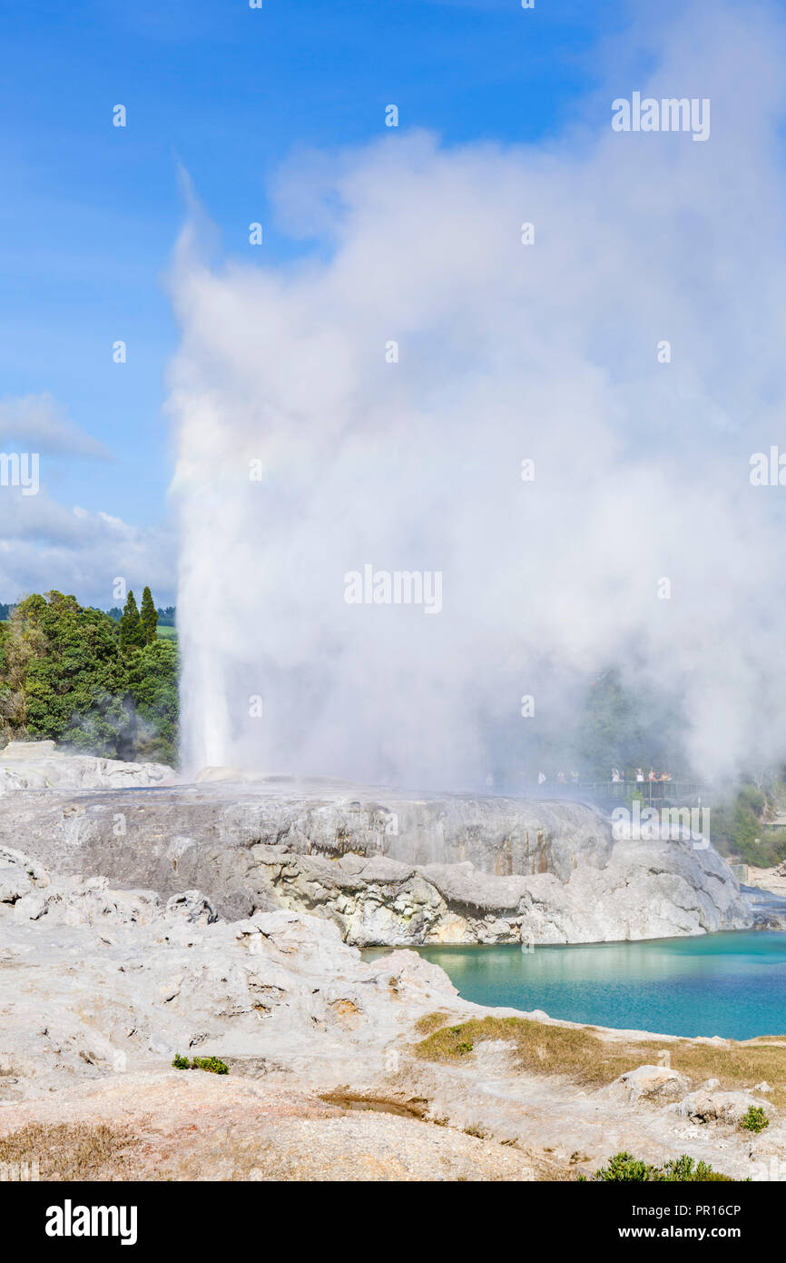 Pohutu geyser, Te Puia, Whakarewarewa Valle Thermal, Rotorua, Isola del nord, Nuova Zelanda, Pacific Foto Stock