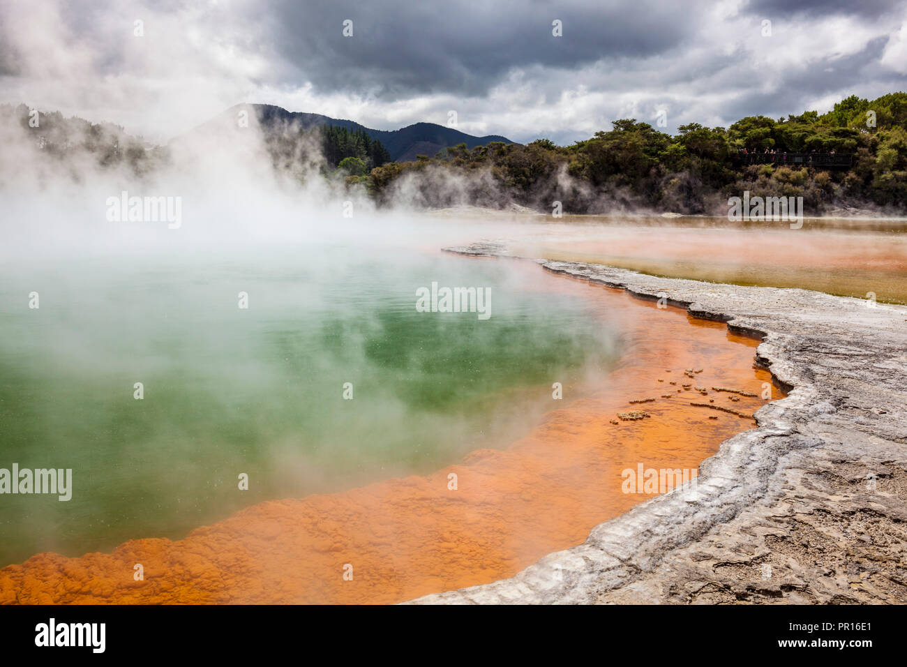Il pool di Champagne, Wai-o-tapu Thermal Wonderland, area geotermica, Waiotapu, Rotorua, Isola del nord, Nuova Zelanda, Pacific Foto Stock