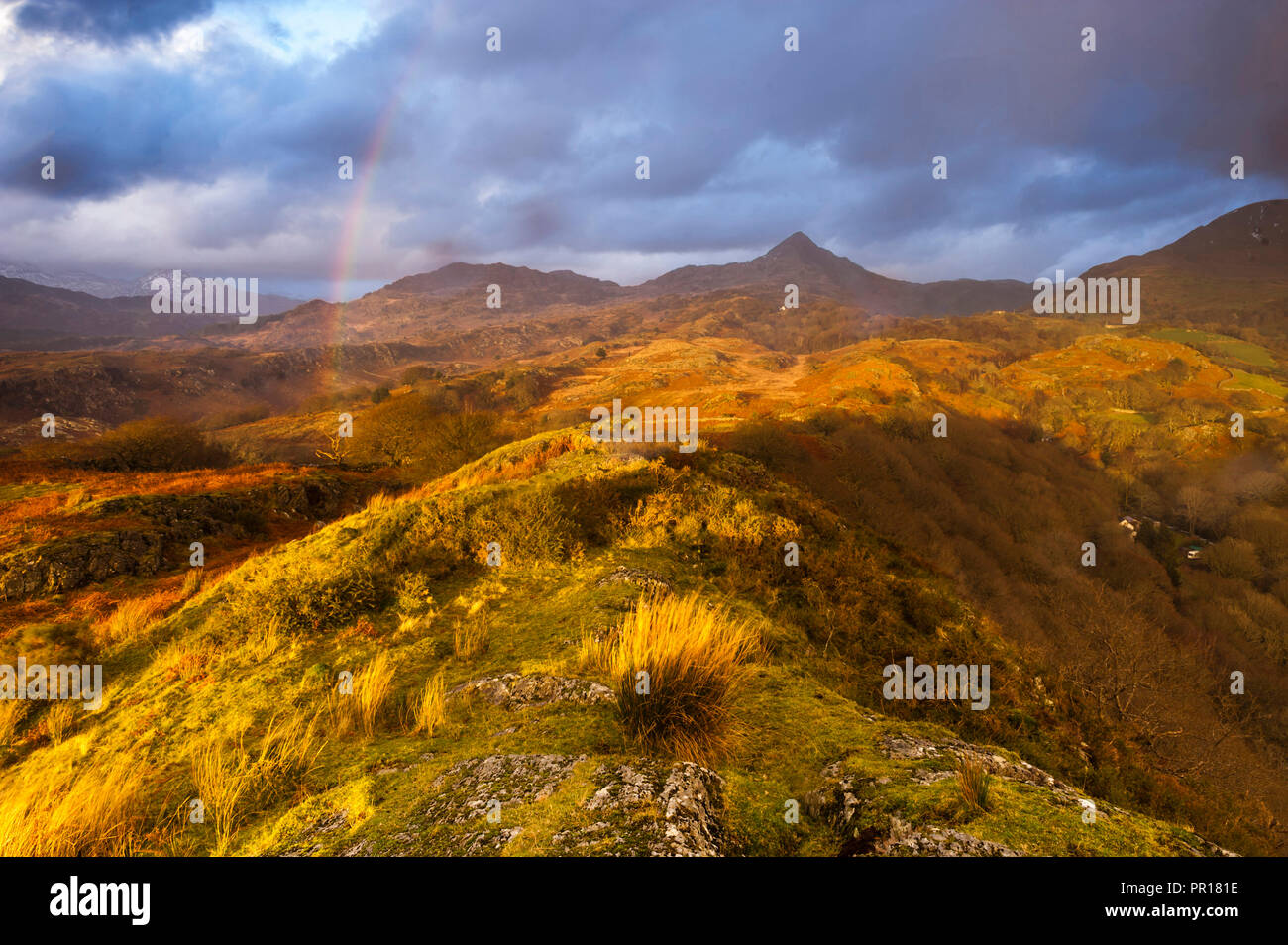 Cnicht sotto un arcobaleno al tramonto, Snowdonia National Park, il Galles del Nord, Wales, Regno Unito, Europa Foto Stock