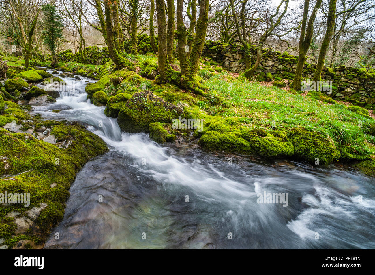 Fiume nella valle Croesor, Parco Nazionale di Snowdonia, Gwynedd, il Galles del Nord, Wales, Regno Unito, Europa Foto Stock