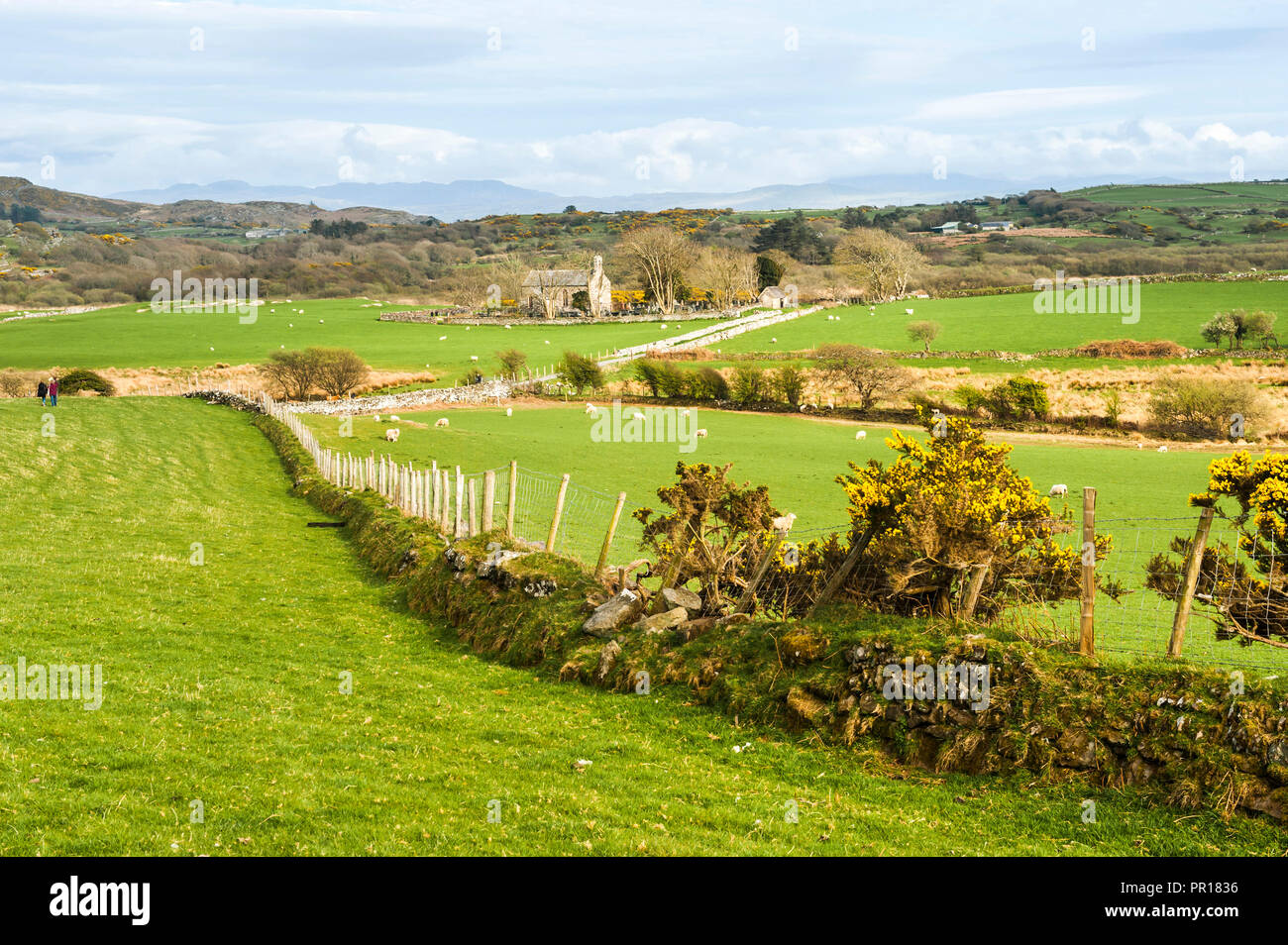 Terreni agricoli nel Parco Nazionale di Snowdonia, il Galles del Nord, Wales, Regno Unito, Europa Foto Stock
