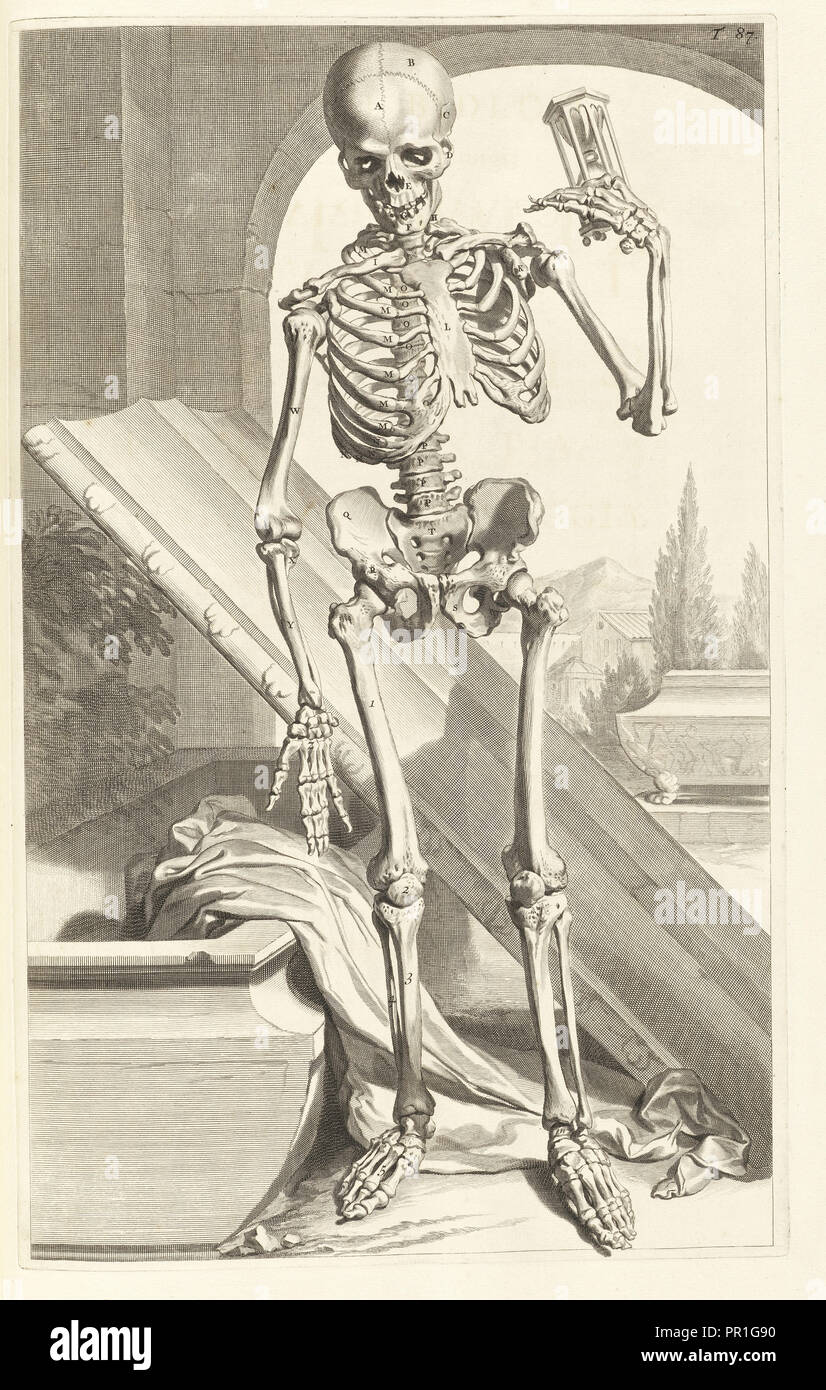 Tabula Octuagesimaseptima, Godefridi Bidloo, medicinae doctoris e chirurgi, Anatomia humani corporis: centum e quinque Foto Stock