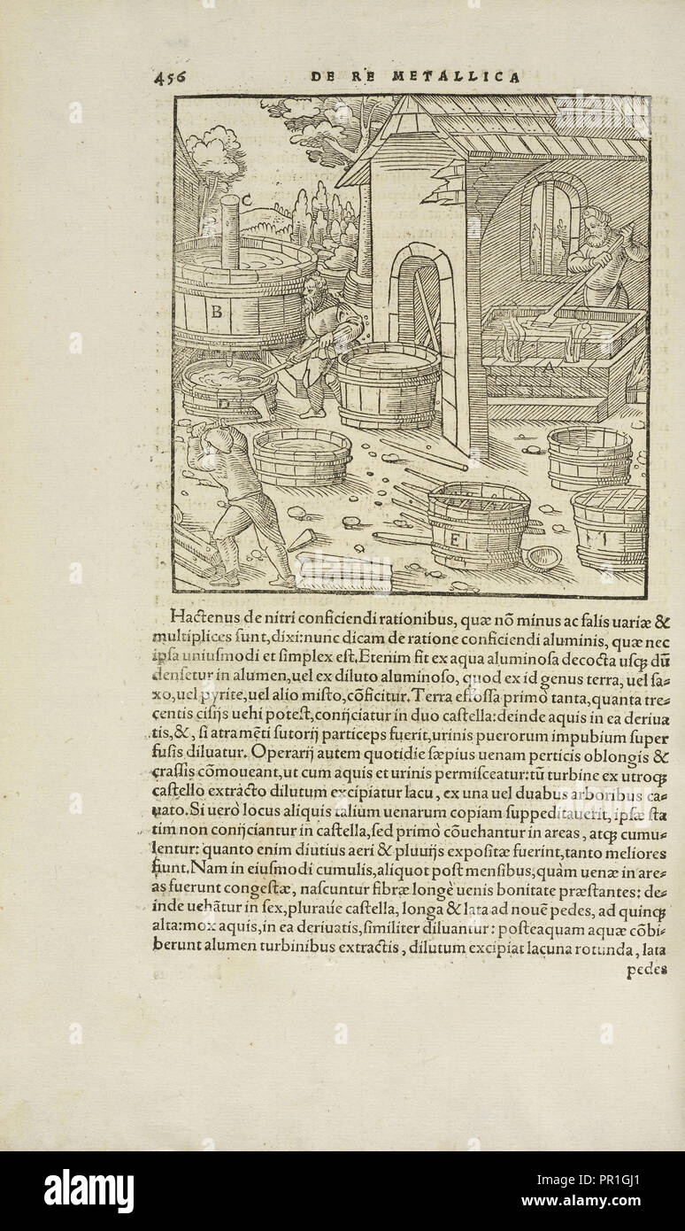 Pagina 456 Agricolae Georgii De re metallica: libri XII. Quibus officia, instrumenta, machinae, ac omnia deni, que, ad metallicam Foto Stock