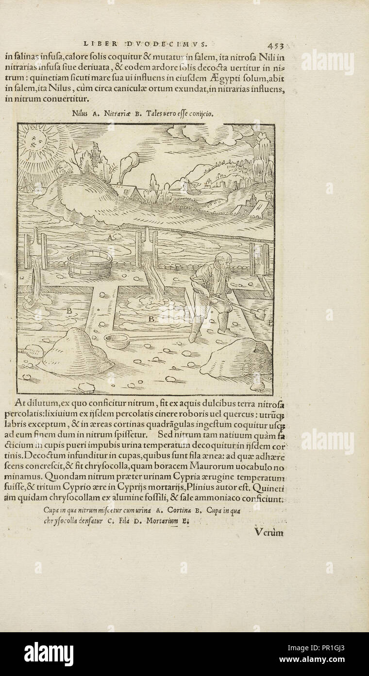 Pagina 453 Georgii Agricolae De re metallica: libri XII. Quibus officia, instrumenta, machinae, ac omnia deni, que, ad metallicam Foto Stock