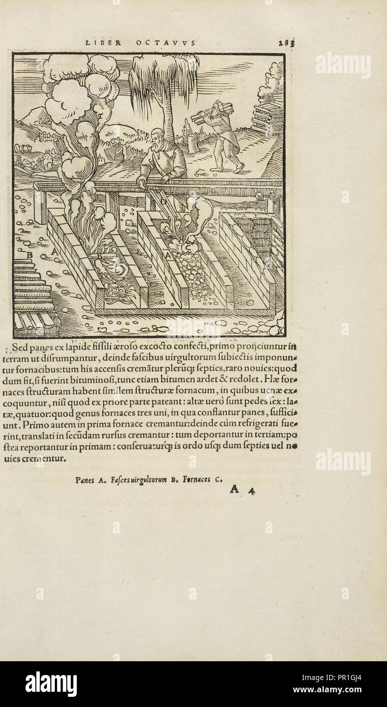 Pagina 283 Georgii Agricolae De re metallica: libri XII. Quibus officia, instrumenta, machinae, ac omnia deni, que, ad metallicam Foto Stock
