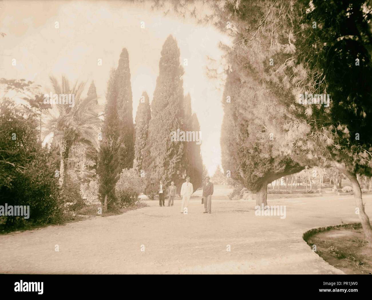 Università americana. Beirut (A.U.B.). Campus. Mostra pittoreschi cipressi e palme ecc. 1920, Libano, Beirut Foto Stock