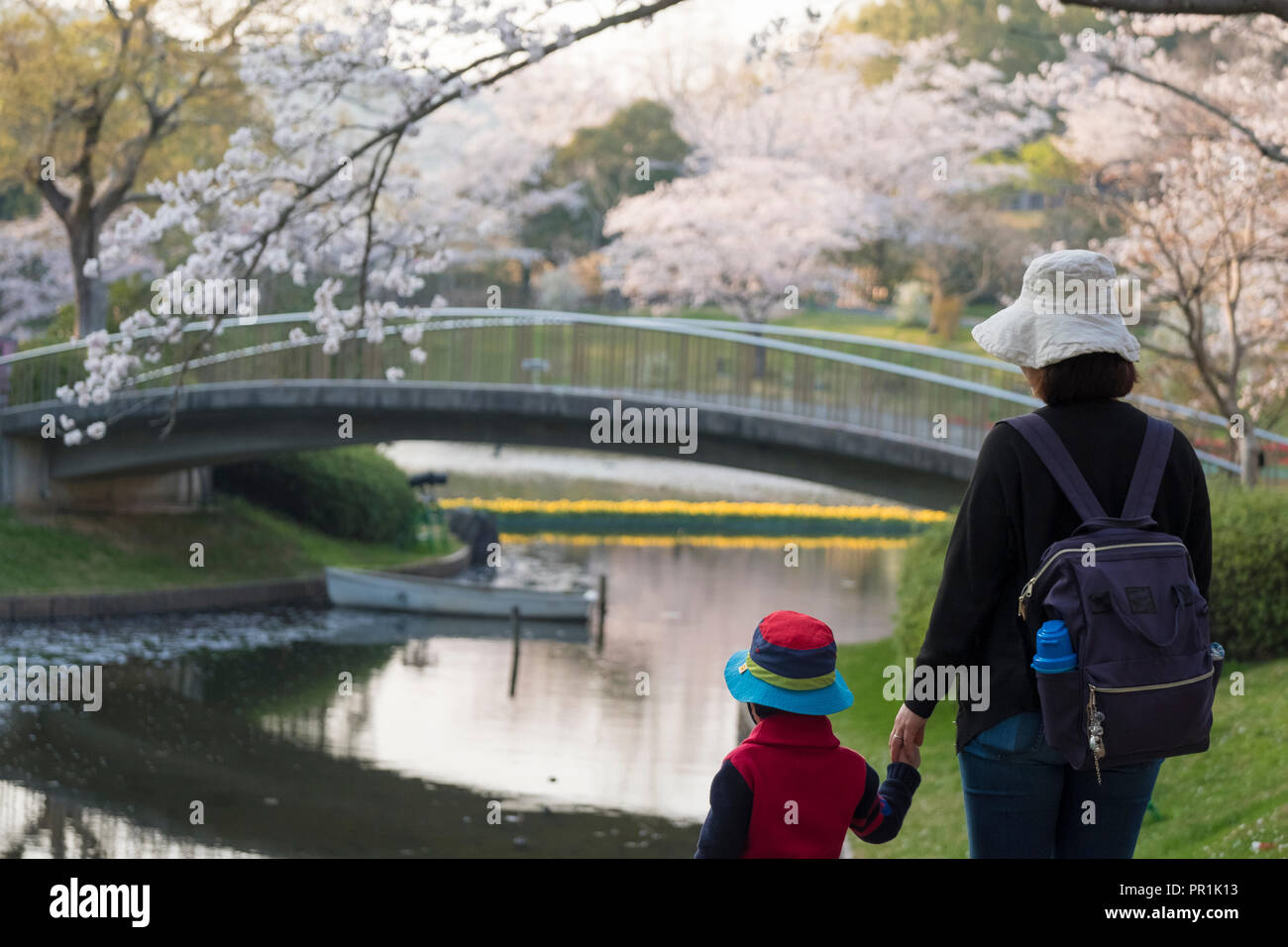 La famiglia è in viaggio per vedere la fioritura dei ciliegi in fiore di Hamamatsu park, Shizuoka, Giappone Foto Stock