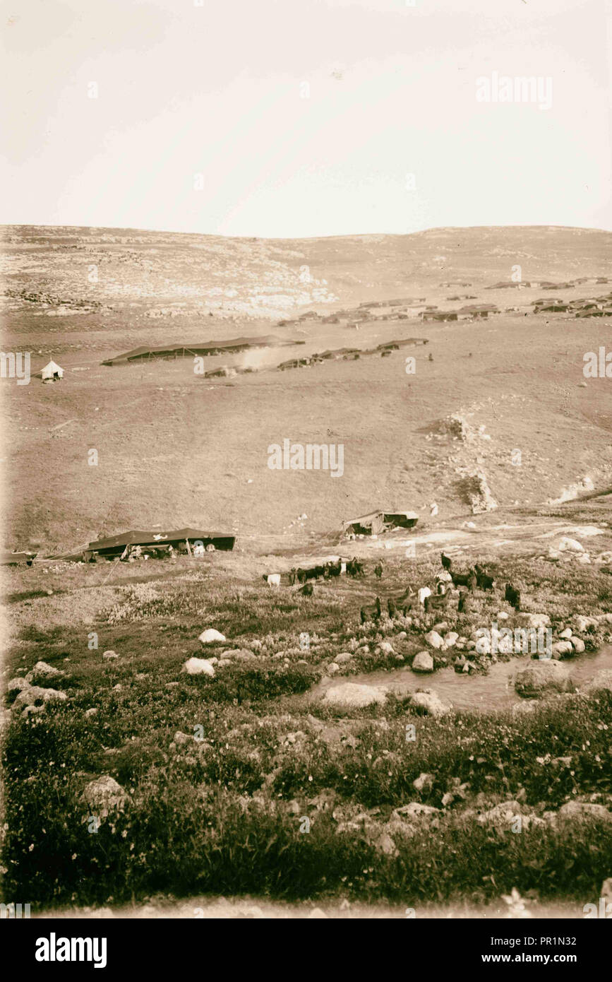 Campo Beduino di 1898, Medio Oriente, Israele e/o la Palestina Foto Stock