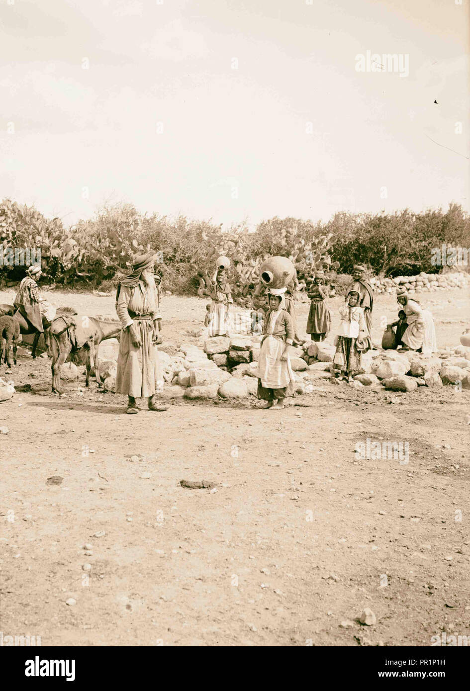 Viste del nord. La molla a Cana di Galilea. 1900, Israele, Kafr Kannā Foto Stock