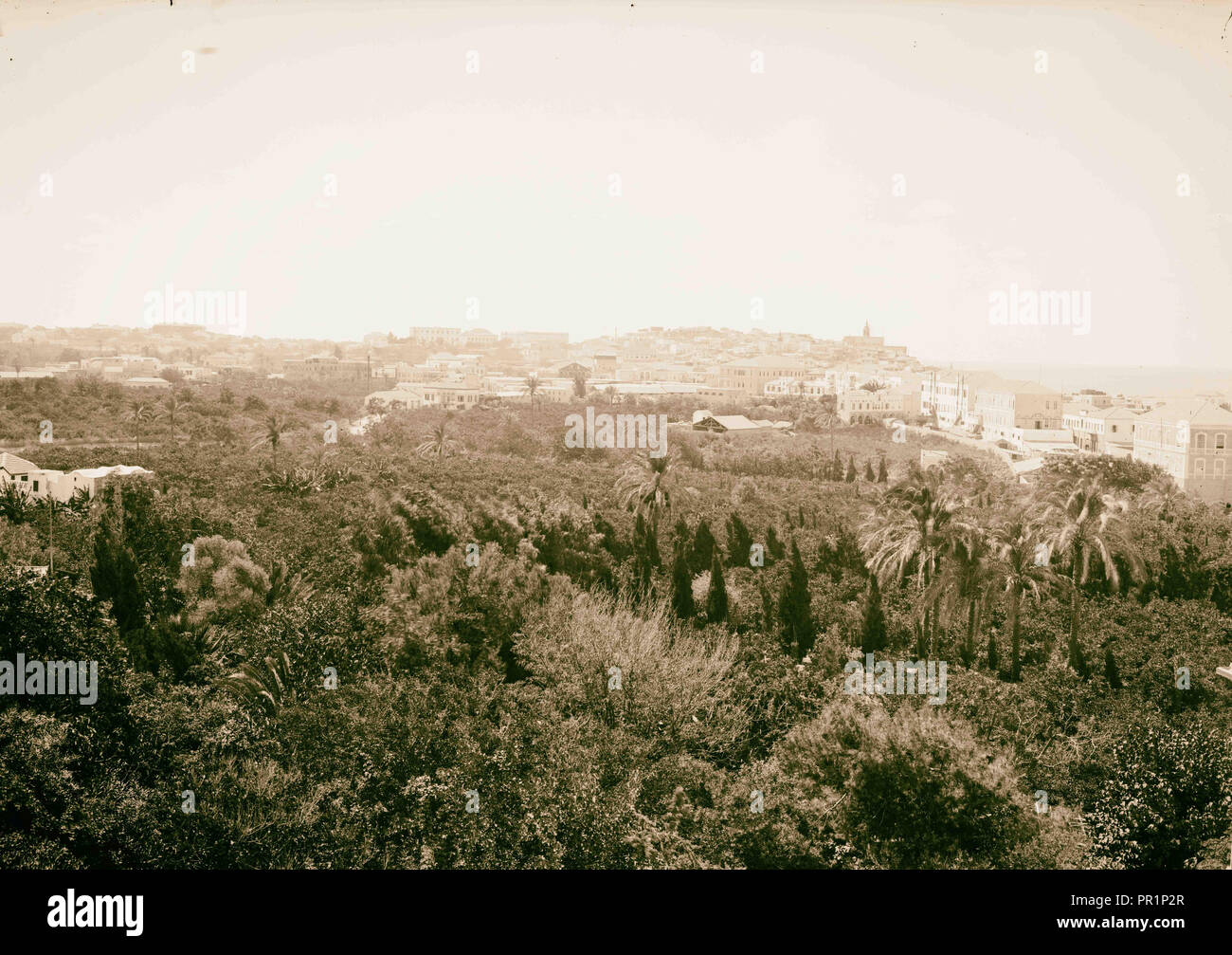 Jaffa (Giaffa) e dintorni. Jaffa dall'Hotel du Parc American Colony, Gerusalemme. 1898, Israele, Tel Aviv Foto Stock