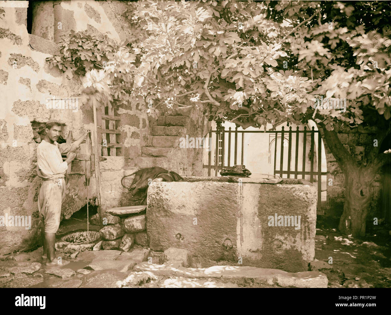 Jaffa (Giaffa) e dintorni. Casa di Simone il conciatore American Colony, Gerusalemme. 1898, Israele Foto Stock