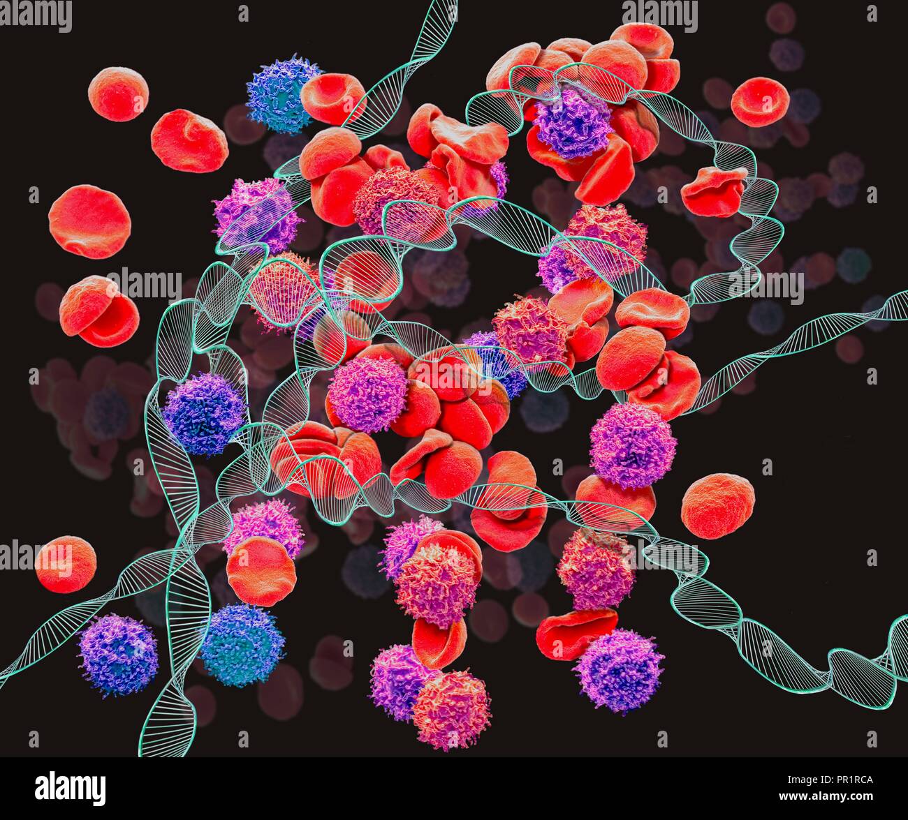La leucemia, concettuale immagine composita. Microscopia elettronica a  scansione (SEM) e computer immagine generata (CGI) del DNA (acido  desossiribonucleico) molecole (eliche) e globuli rossi e bianchi. La  leucemia è il cancro delle