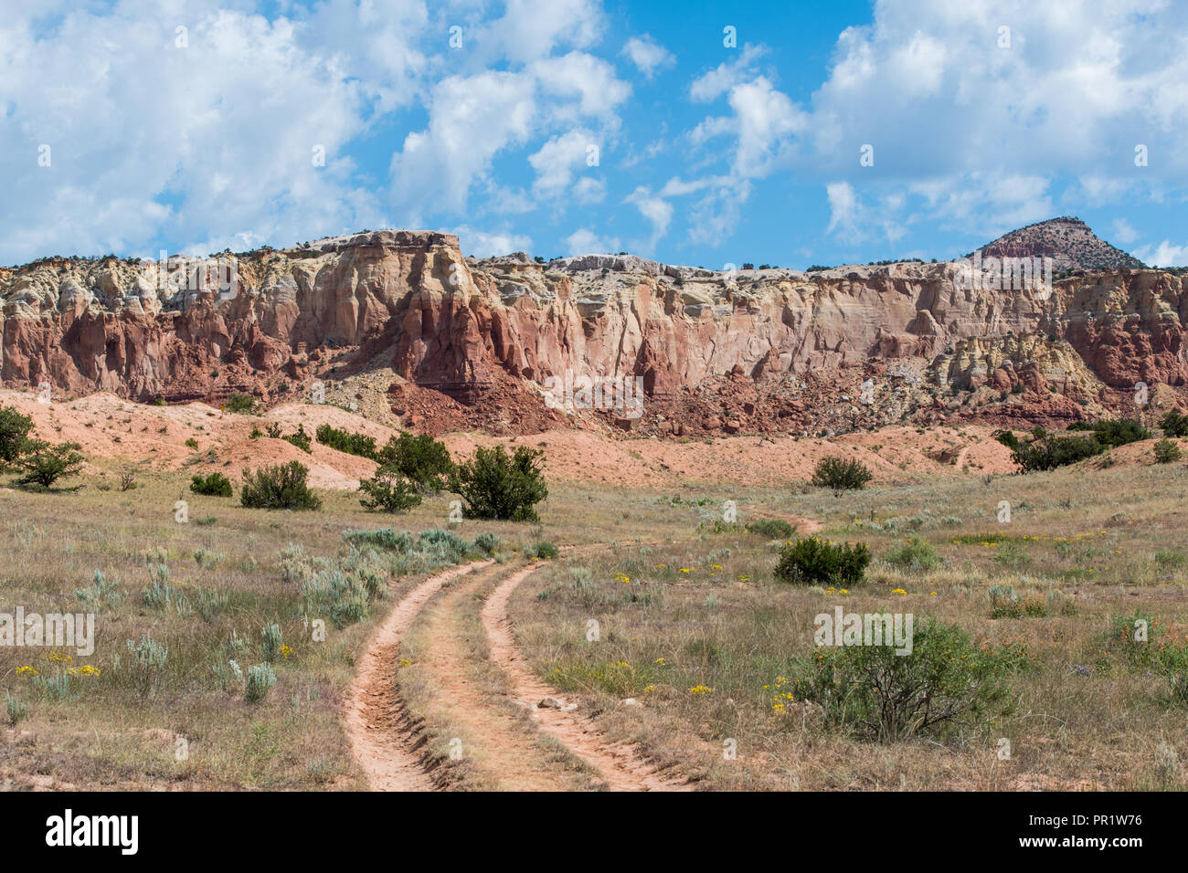 Strada sterrata con due tracce della curvatura nella distanza attraverso un prato erboso ad alte rocce rosse vicino Abiquiu, Nuovo Messico del sud-ovest americano Foto Stock