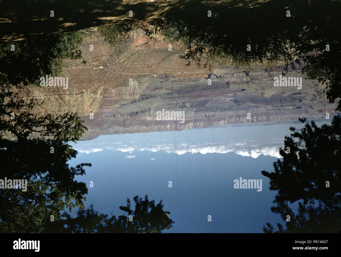 Scenario naturale, foto includono montagne, cielo blu visionario, immagine con struttura ad albero e montagna, IMMAGINE ECO, 1955. () Foto Stock