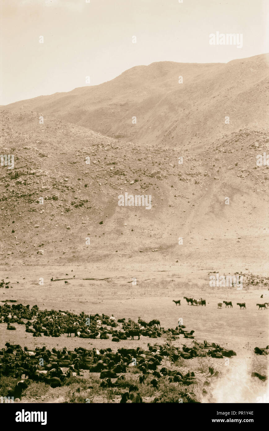 Mt. Hermon. 1925 Foto Stock