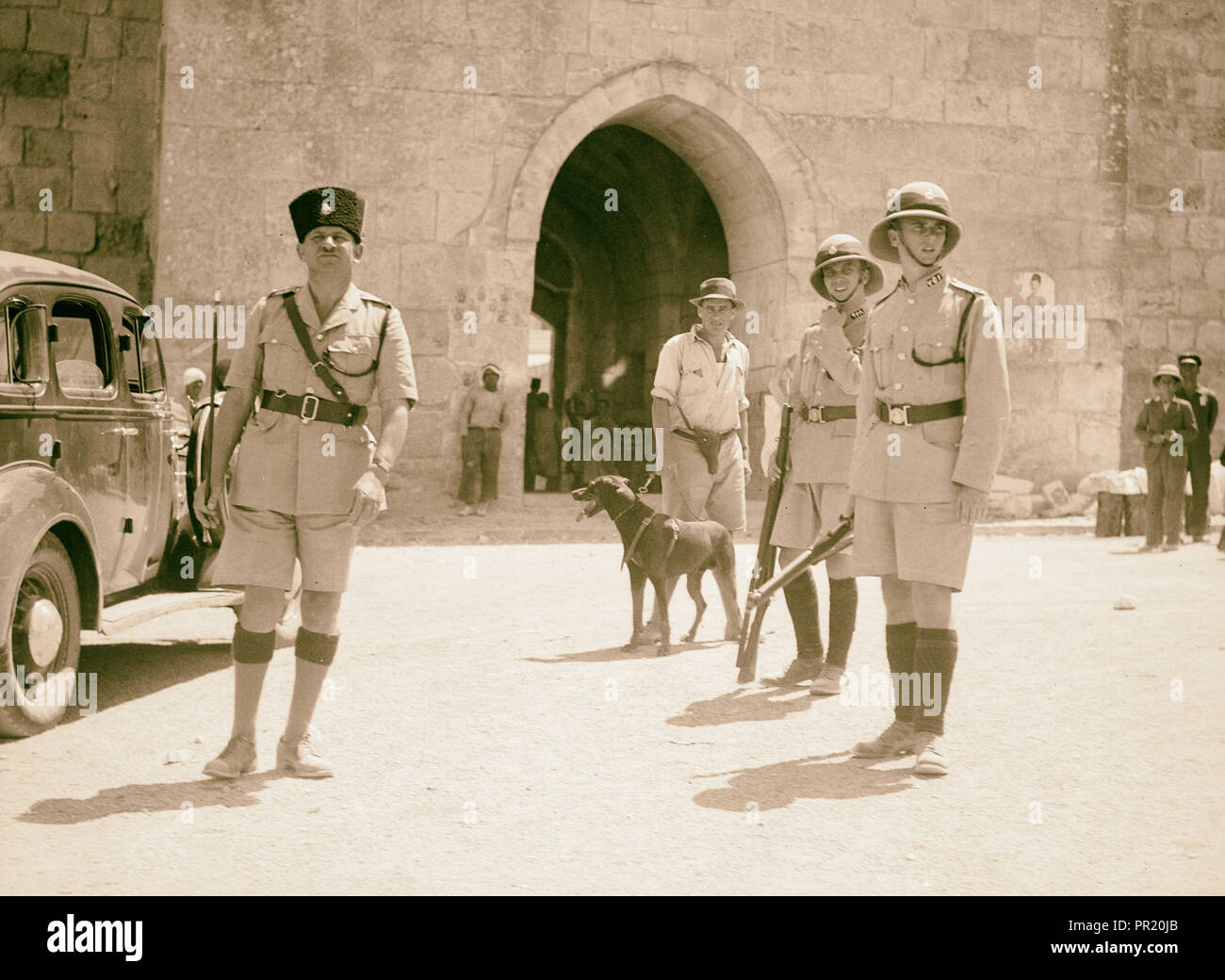 La polizia e i loro cani a Erode's Gate (sett. 1937) Gerusalemme, Israele Foto Stock