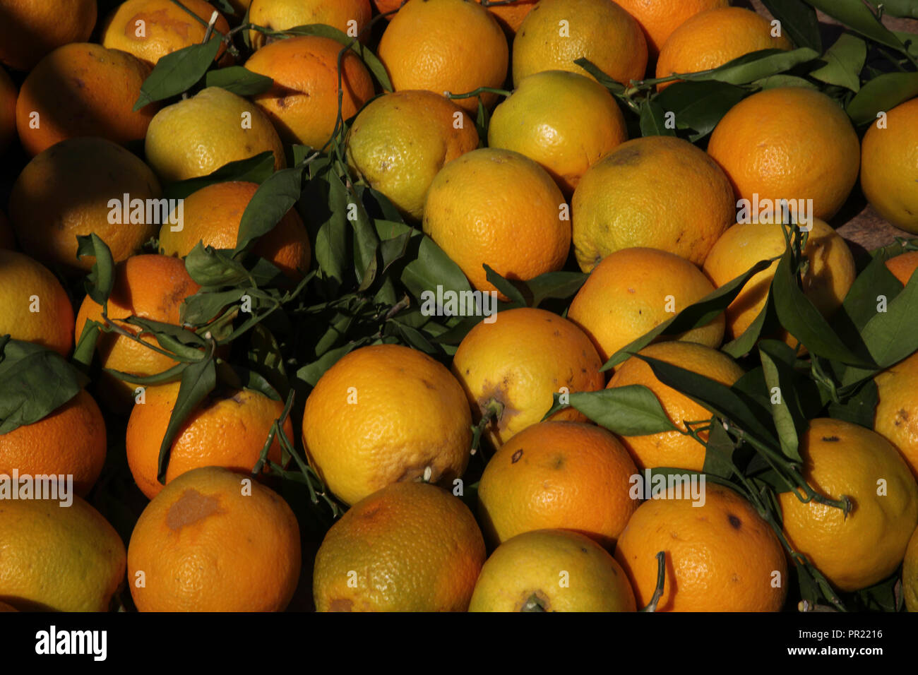 Vouliagmeni Atene Grecia Saturday Market Close Up di arance Foto Stock
