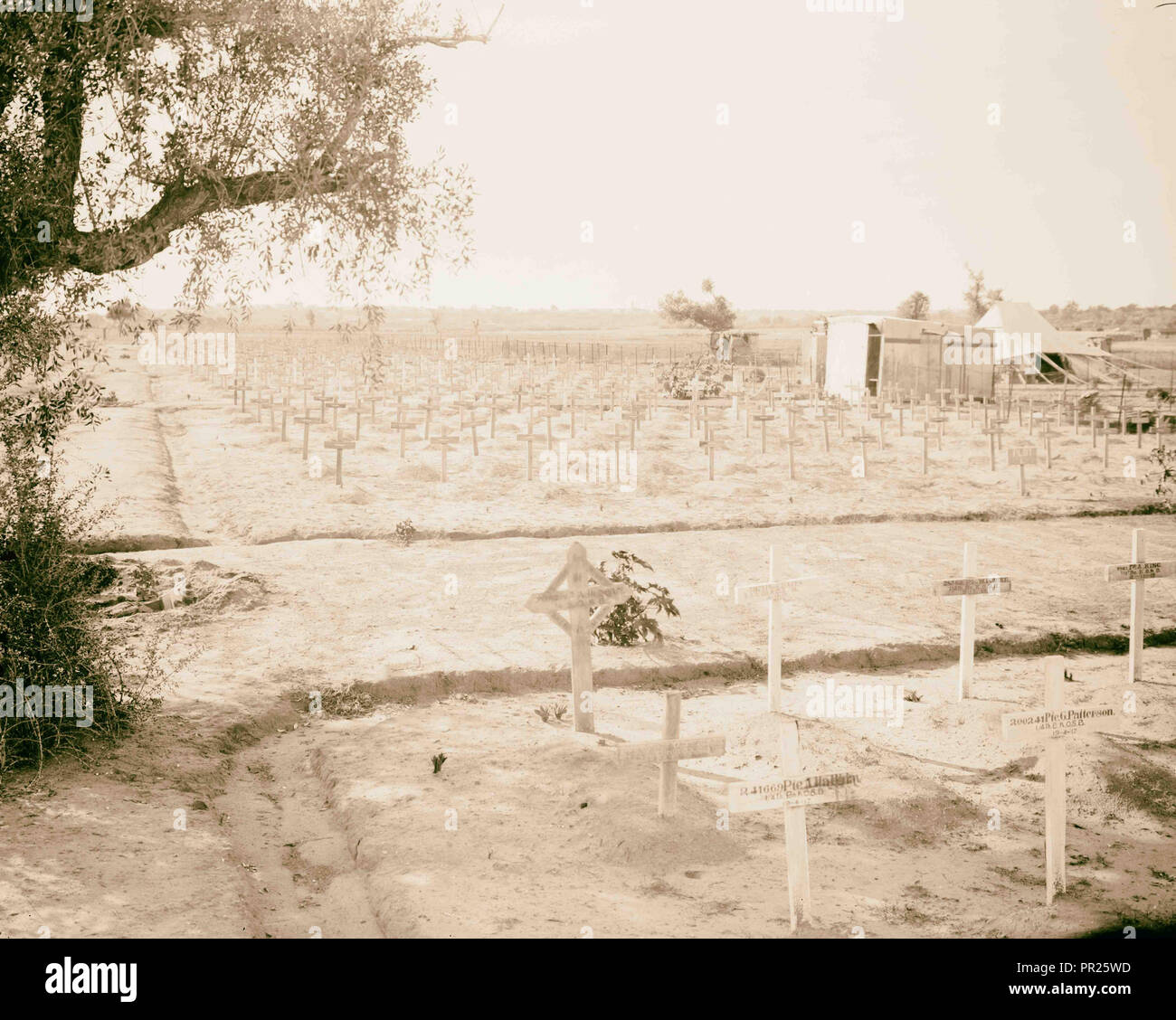 Cimitero di guerra in Palestina (probabilmente Gaza). 1917, nella Striscia di Gaza Foto Stock