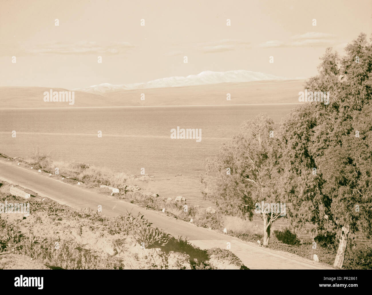 La Galilea di Mt. Hermon, presa nel febbraio 1945. 1945, Israele Foto Stock