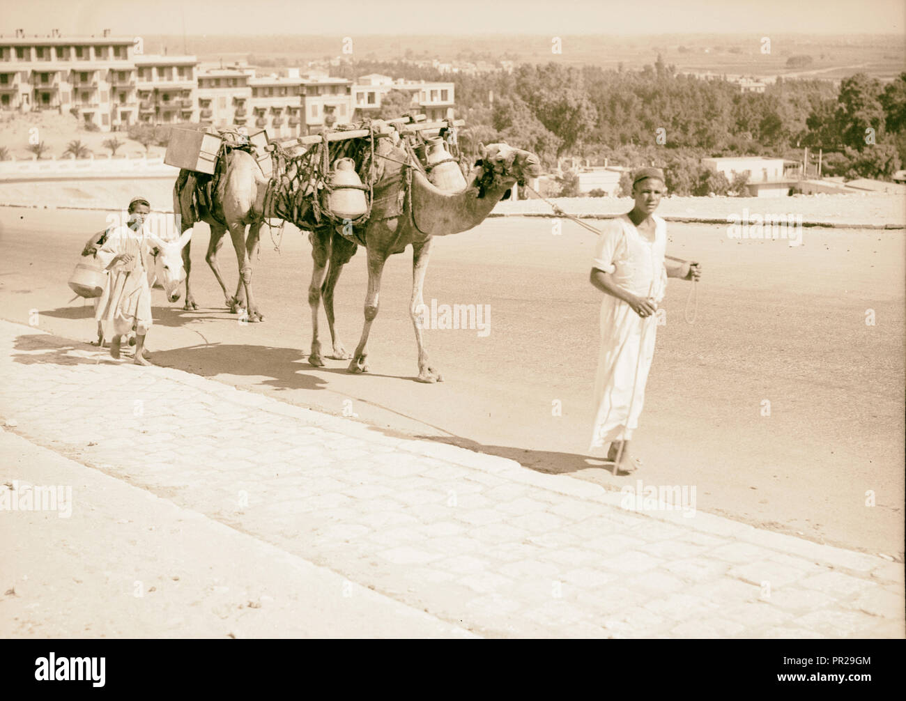 L'Egitto. Il Cairo. Tipi e caratteri. Cammelli caricato con acqua vasetti e serbatoi. 1934, l'Egitto, al Cairo Foto Stock