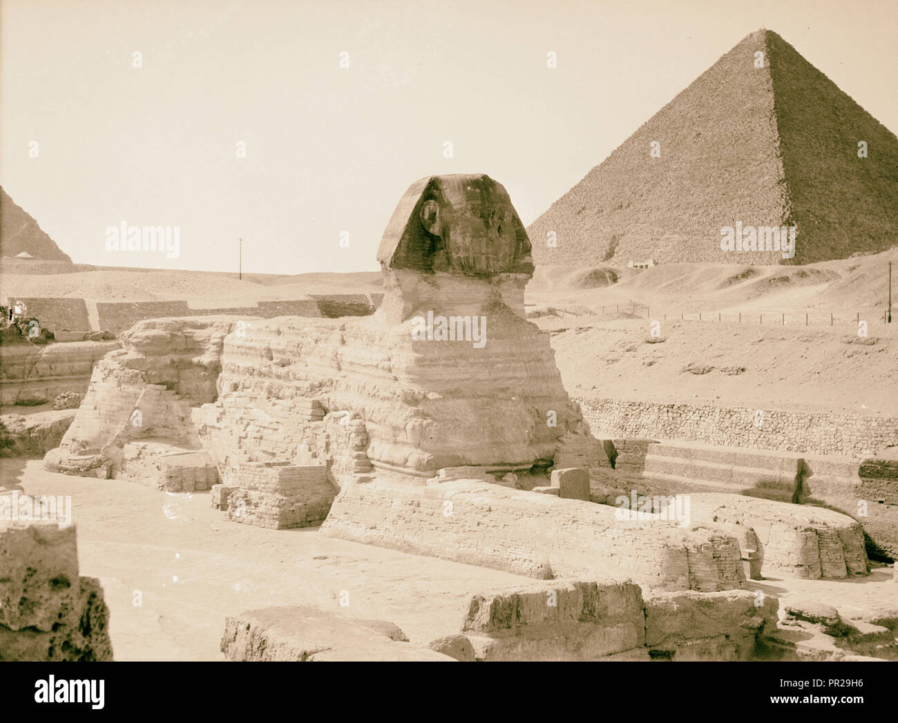 L'Egitto. La sfinge e piramidi. Gen erale[] vista con piramide in background. 1934, Egitto, Jīzah, Jizah Foto Stock