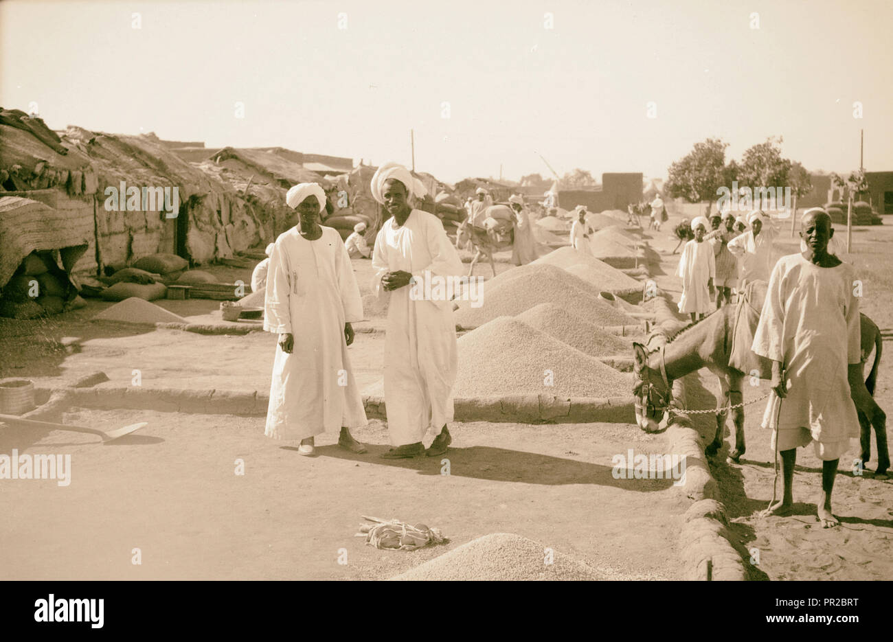Il Sudan. Il governo di Khartoum. Khartoum Nord, mercato del grano. 1936, Sudan, Khartoum Foto Stock