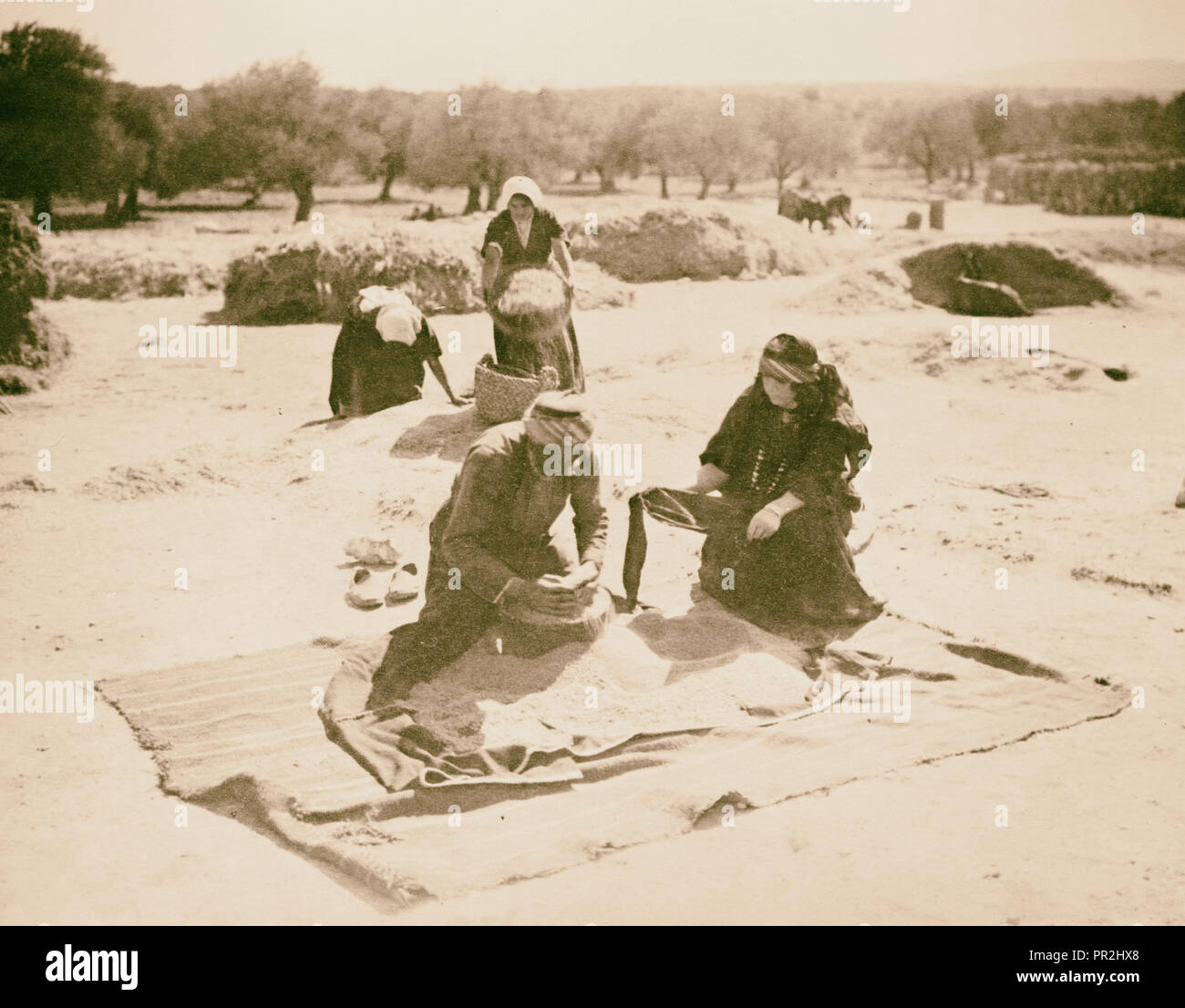 Ruth story, 1925 Medio Oriente Foto Stock